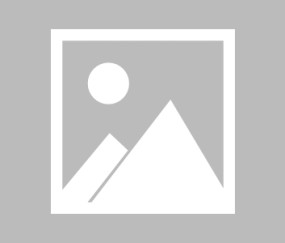 爱游戏平台-冲刺阶段新奥尔良鹈鹕调整名单以备NBA总决赛，远射贴柱环节打磨，气氛紧张，资深球员宣示担当的简单介绍