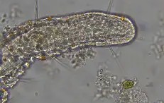 爱游戏平台-eB(麖??顠