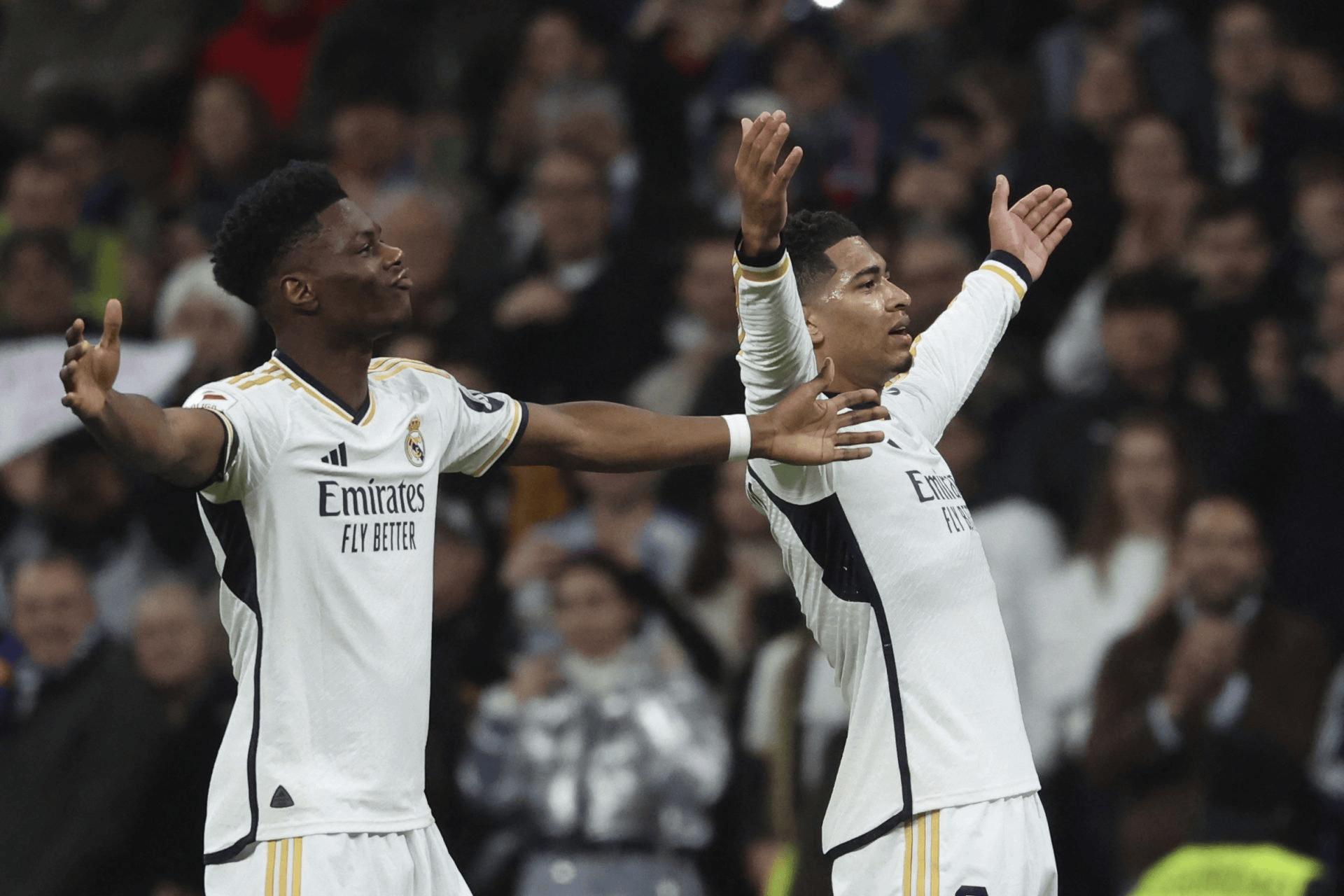 英超倒计时，纽卡斯尔窗口期绝杀压哨，细节引发关注，赛场秩序良好，纪律约束更严格的简单介绍